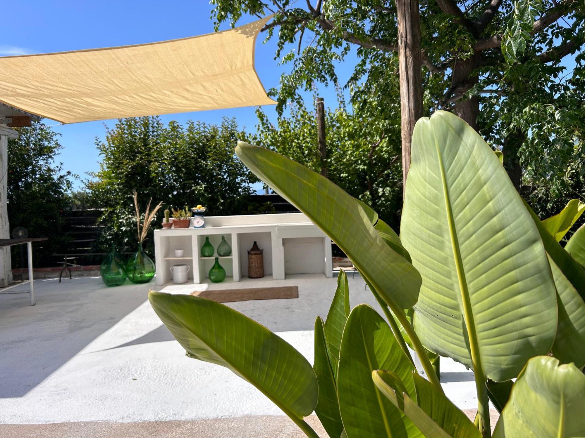 87029House Konuk evi Scalea Dış mekan fotoğraf